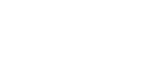 Rugged Valley NZ