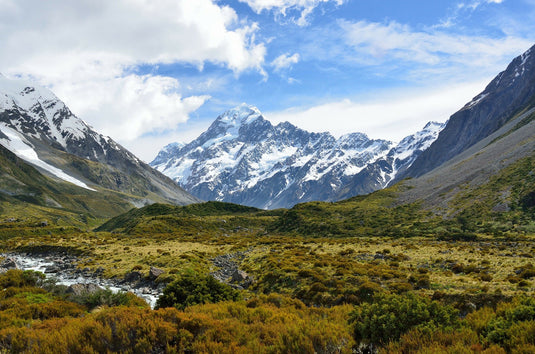 blue day with high clouds, green bush and grass, snowy mountains