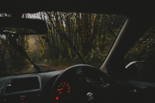 ford ute driving through a forest of trees