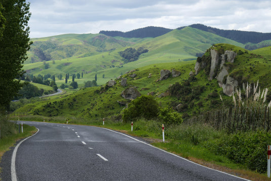 nz road winding through farmland, green rolling hills, cloudy day