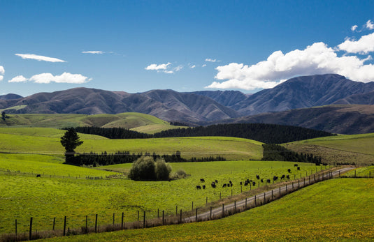 Green farmland with gravel driveway. Blue skies and hills in distance.