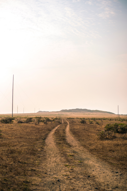 dusty farm track on a sunny day