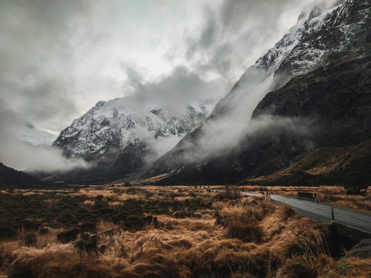 path through a misty mountain range, snowy mountains, tussock grass