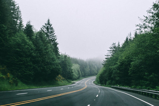 Deserted road winding through forrest on a misty day