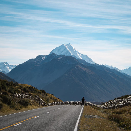 NZ farmer with sheet on the road, snow capped mountain with blue skies