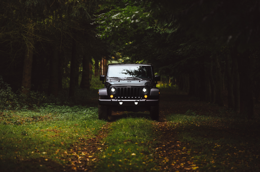 jeep driving through a grove of trees, green grass