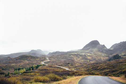 grey skies, grassy bushline beside deserted road