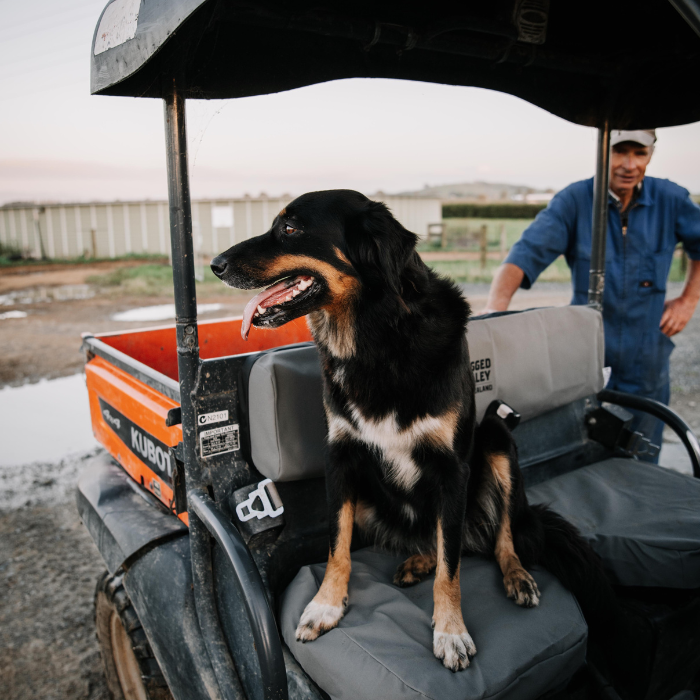 Load image into Gallery viewer, Can-Am Commander ATV Seat Covers
